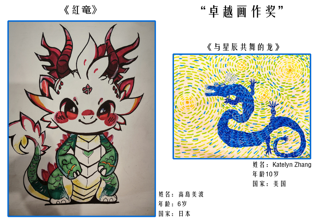 国外二等奖2