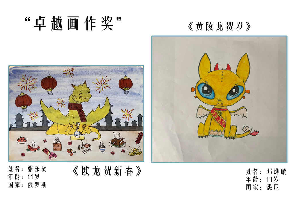 国外二等奖