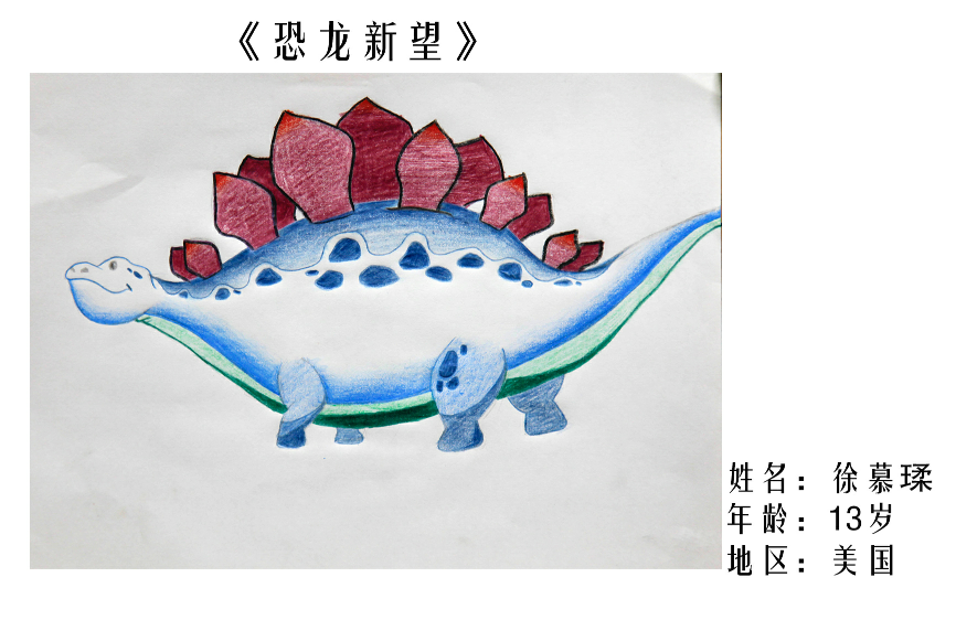 国外组：四等奖