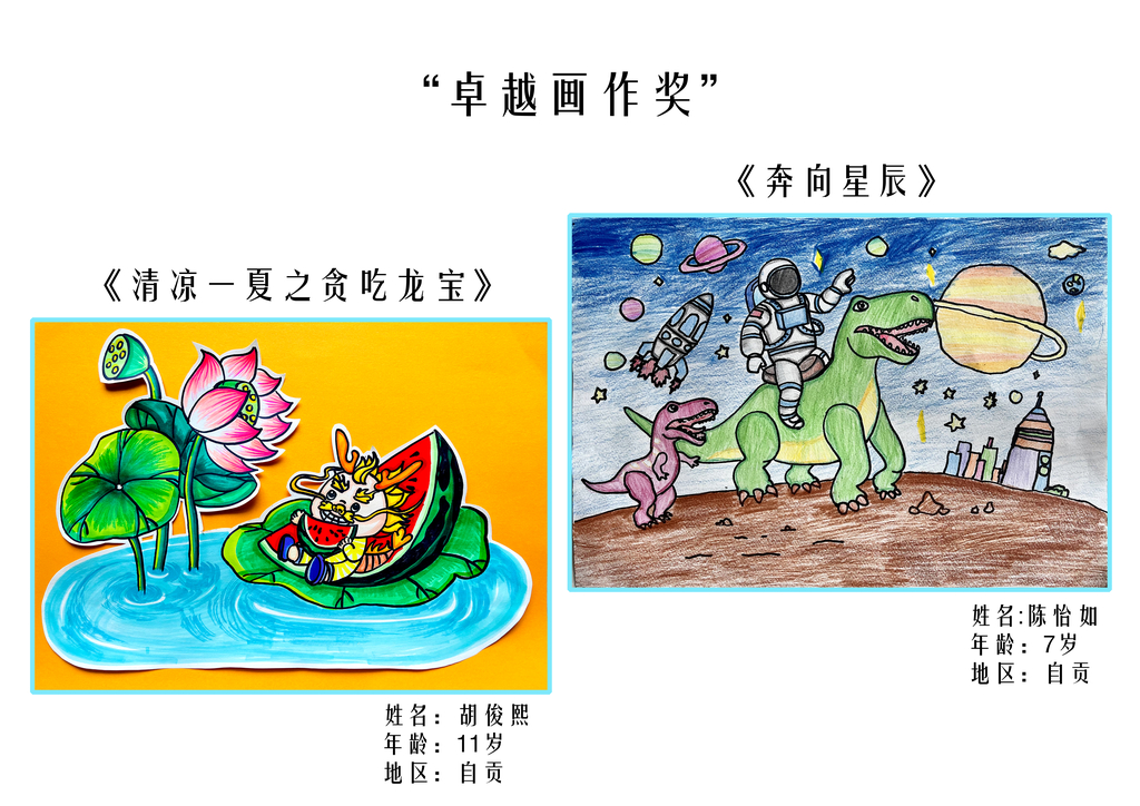 国内二等奖3