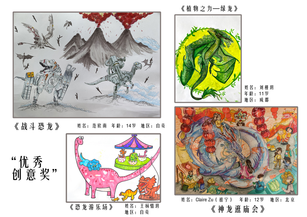 国内三等奖2
