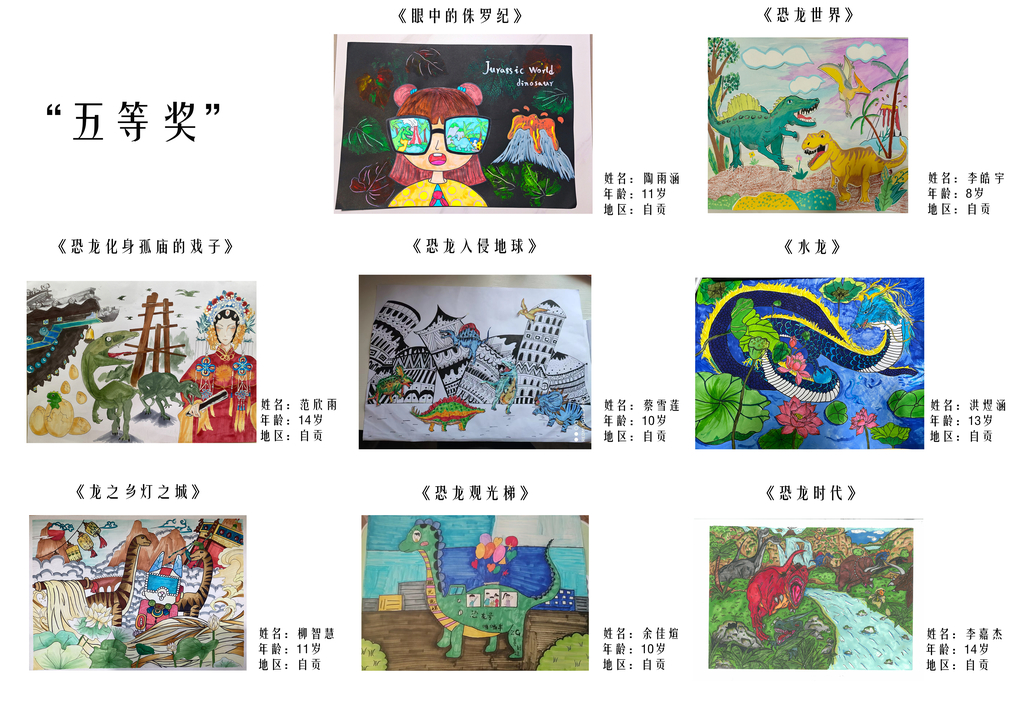 国内五等奖2