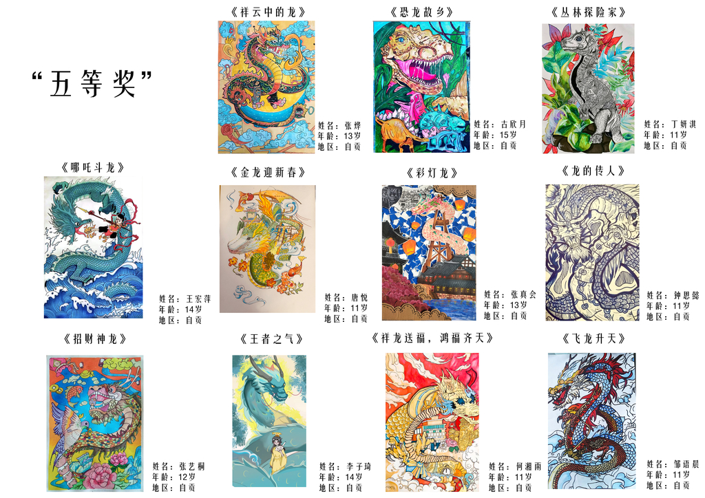 国内五等奖6