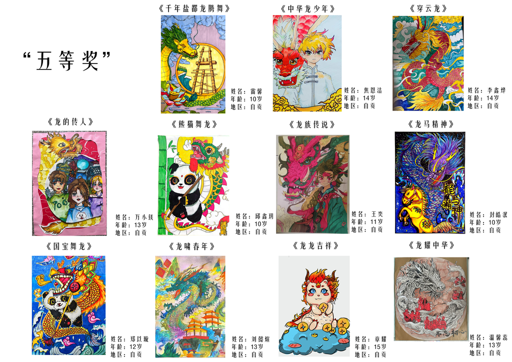国内五等奖5