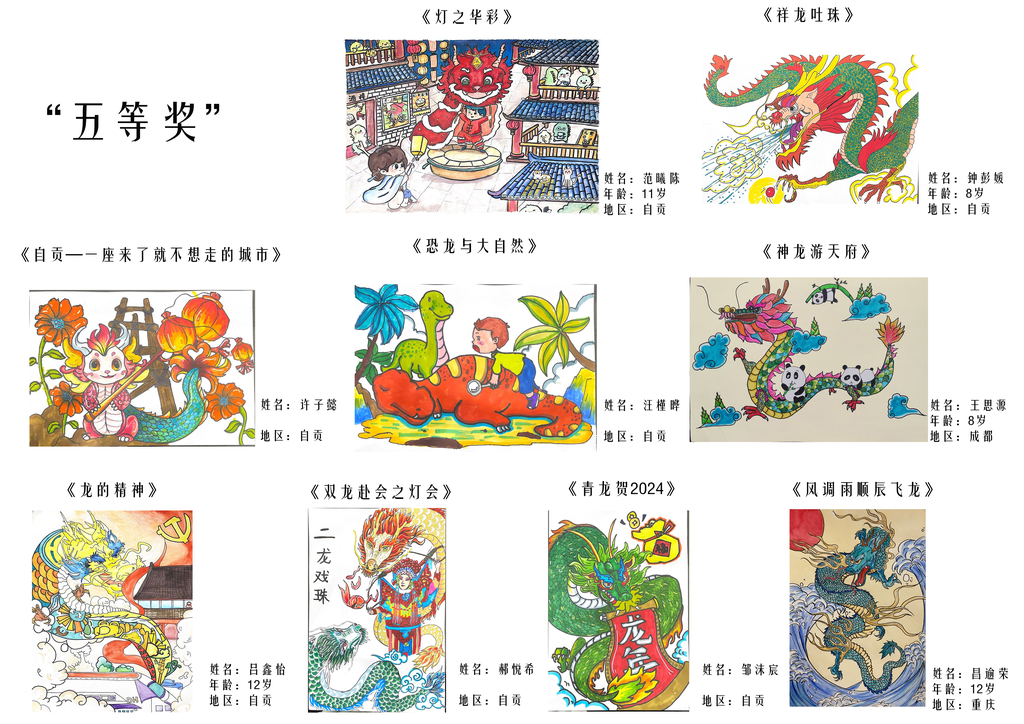 国内五等奖8