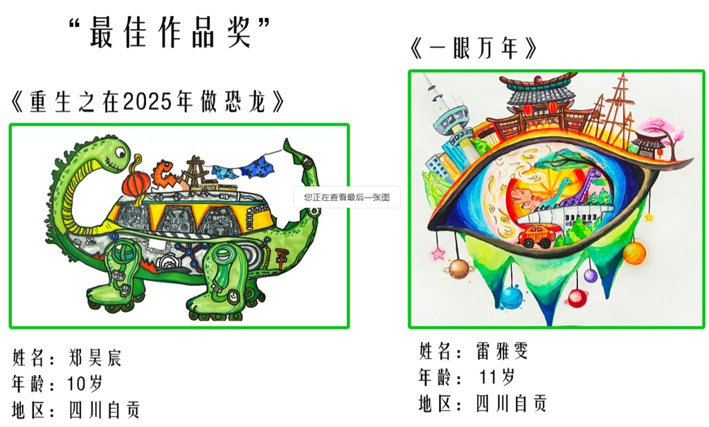 国内组：最佳作品奖