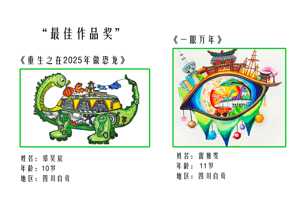 国内最佳作品奖5