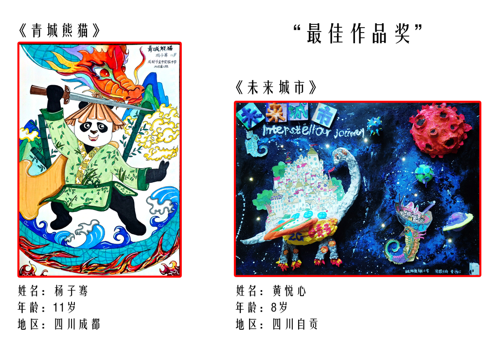 国内最佳作品奖3