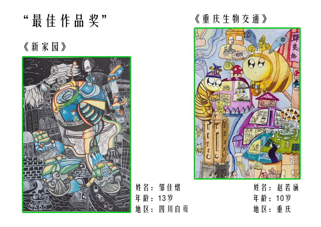 国内最佳作品奖4