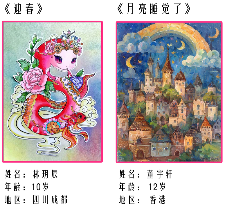 国内组：卓越画作奖